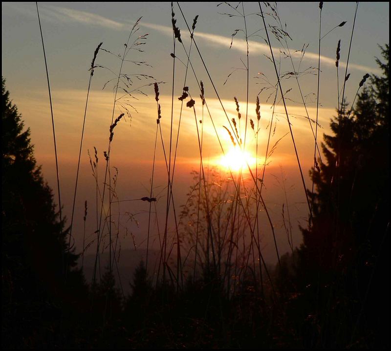 Sonnenuntergang im Harz (Stieglitzeck)