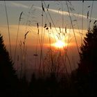 Sonnenuntergang im Harz (Stieglitzeck)