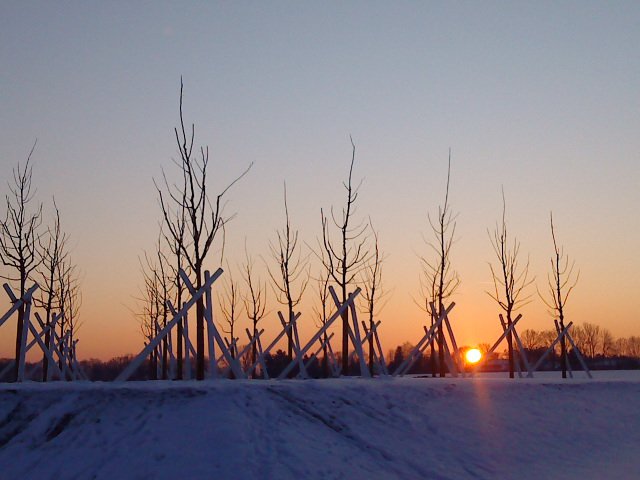 Sonnenuntergang im Hasenfeld