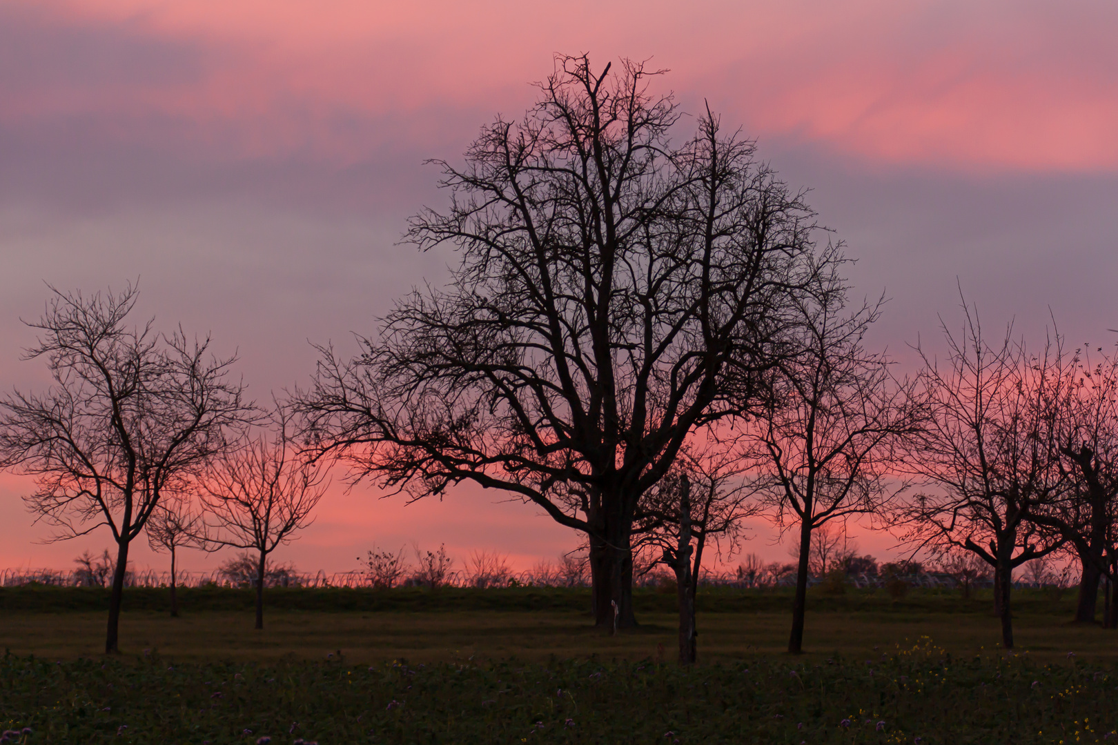 Sonnenuntergang im Hebst