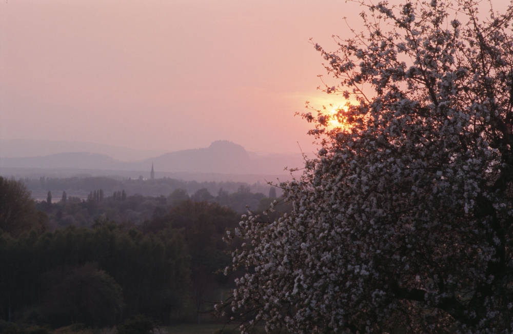 Sonnenuntergang im Hegau