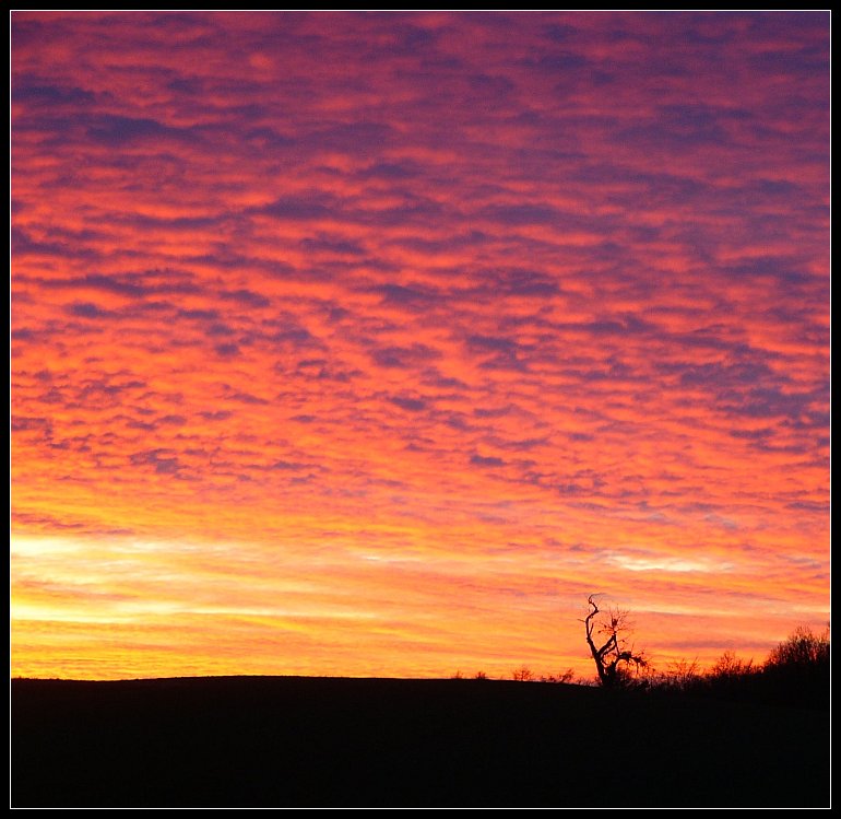 Sonnenuntergang im Hegau