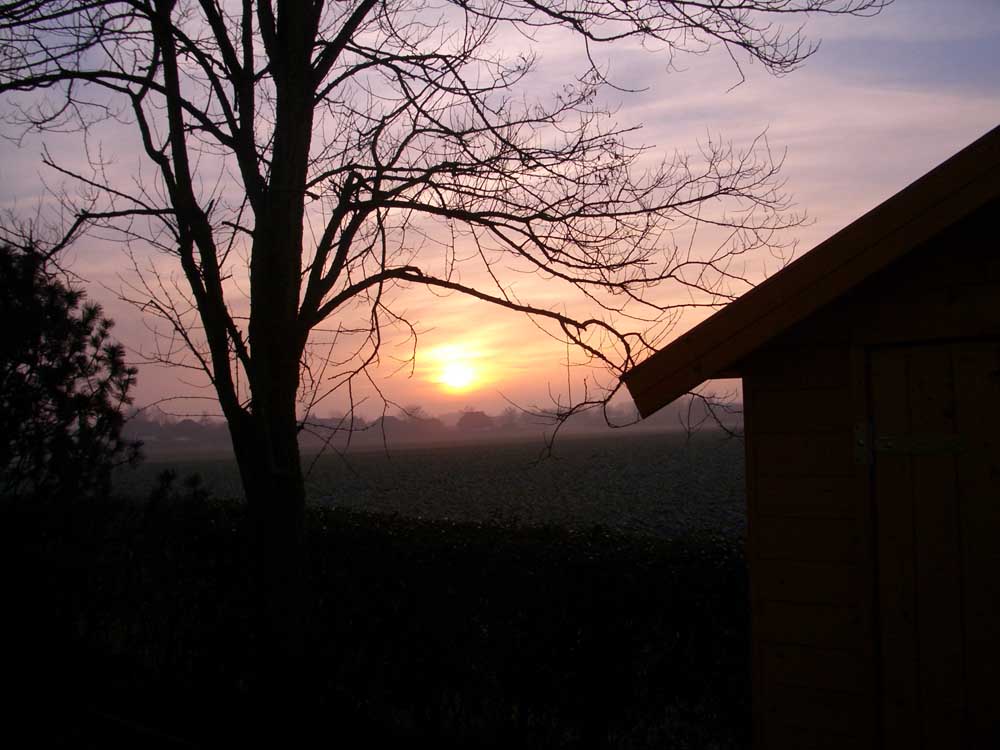 Sonnenuntergang im heimischen Garten