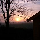 Sonnenuntergang im heimischen Garten