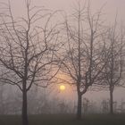 Sonnenuntergang im Herbsnebel