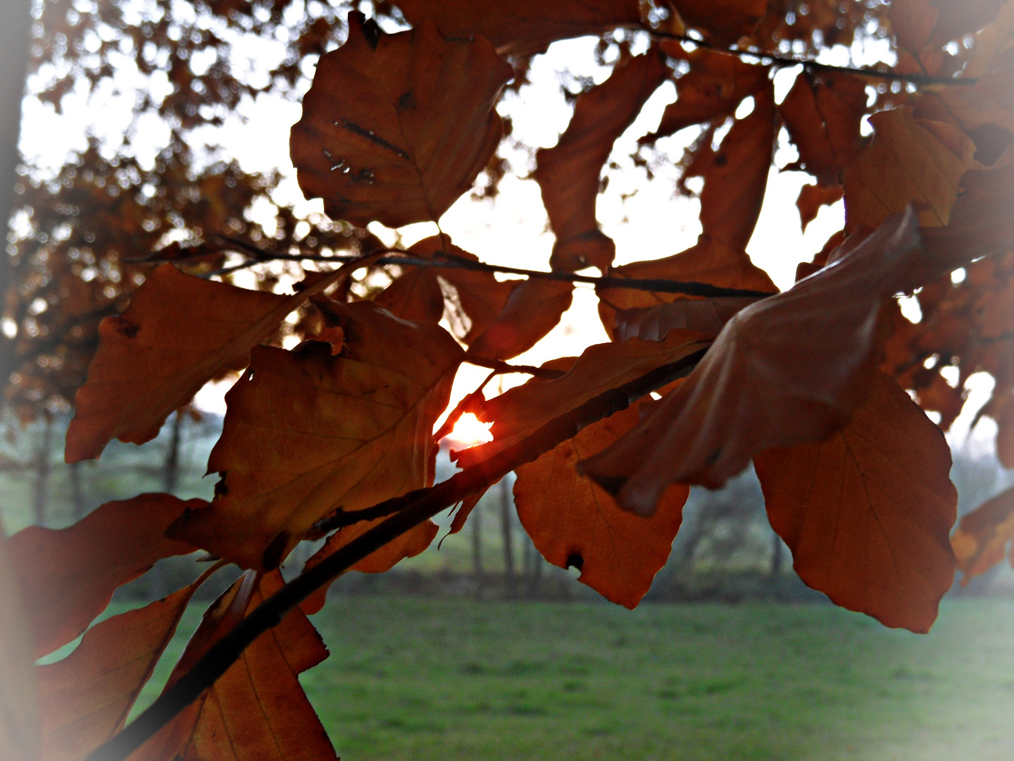 Sonnenuntergang im Herbst....