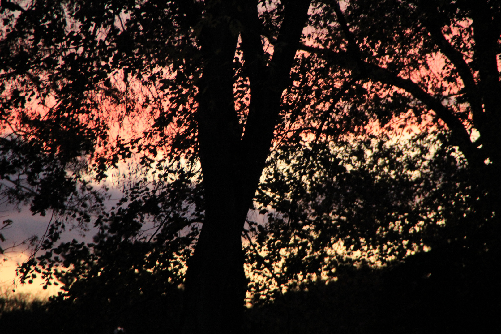 Sonnenuntergang im Herbst