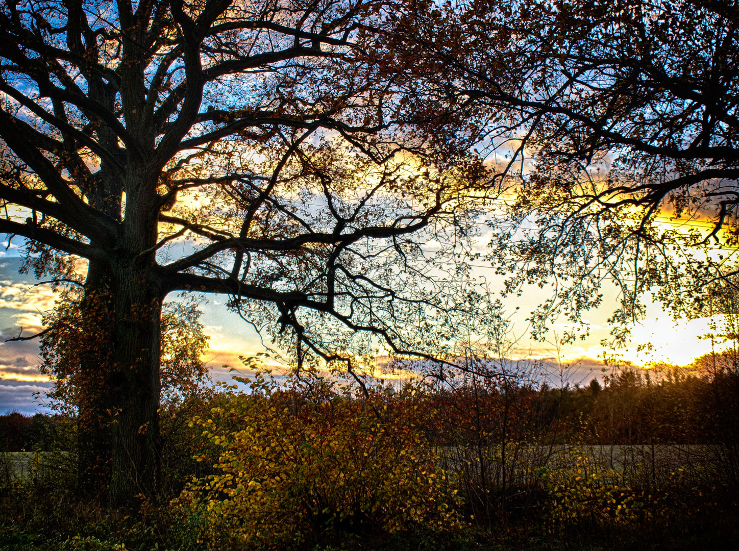 Sonnenuntergang im Herbst