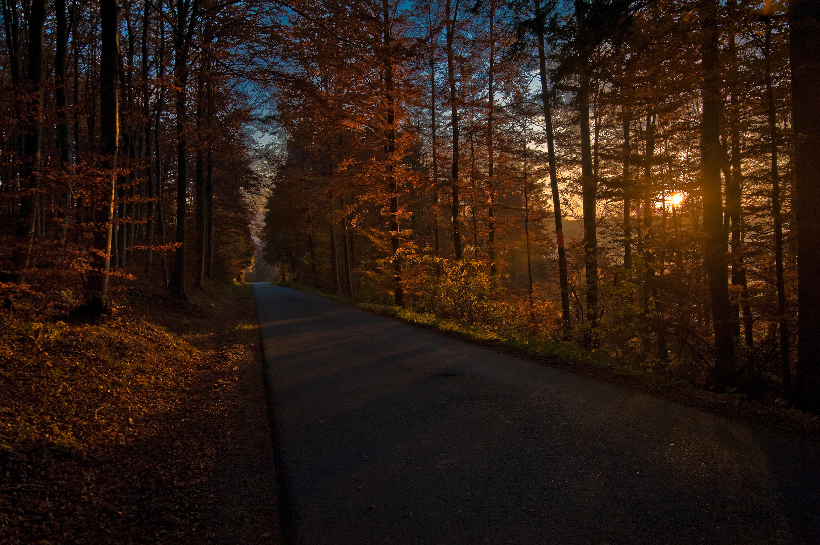 Sonnenuntergang im Herbst