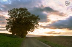 Sonnenuntergang im Herbst