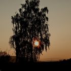 Sonnenuntergang im Herbst