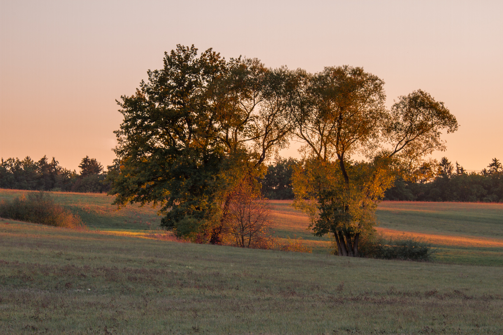 Sonnenuntergang im Herbst