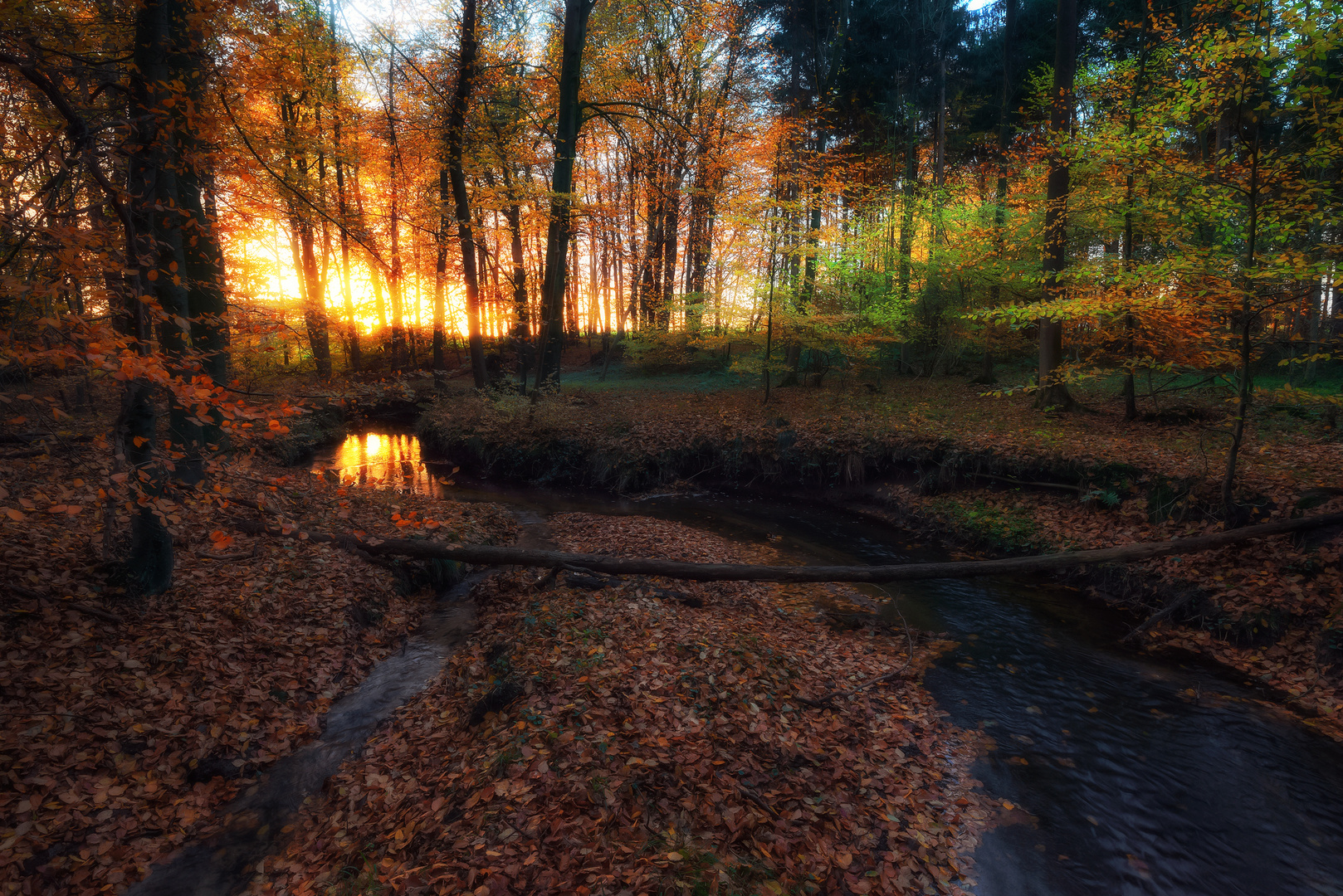 - Sonnenuntergang im Herbstwald -
