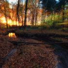 - Sonnenuntergang im Herbstwald -