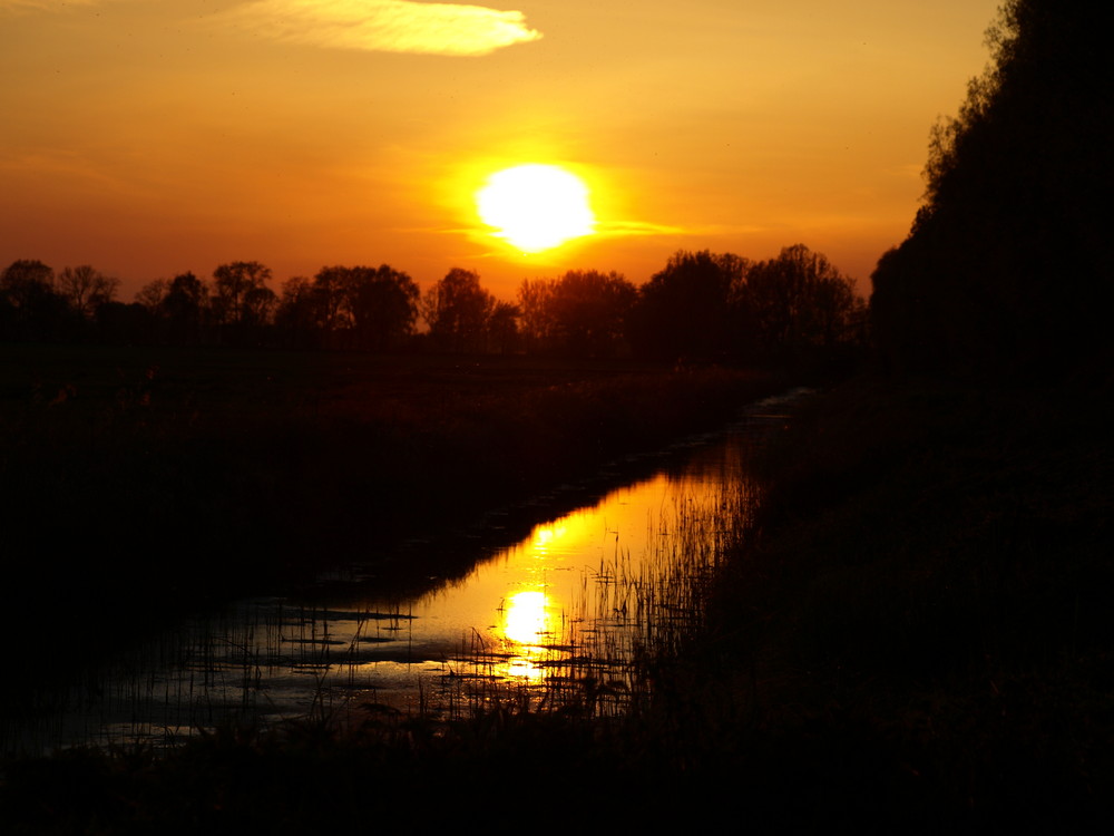 Sonnenuntergang im Herzen der Lewitz 2 (Mecklenburg-Vorpommern)