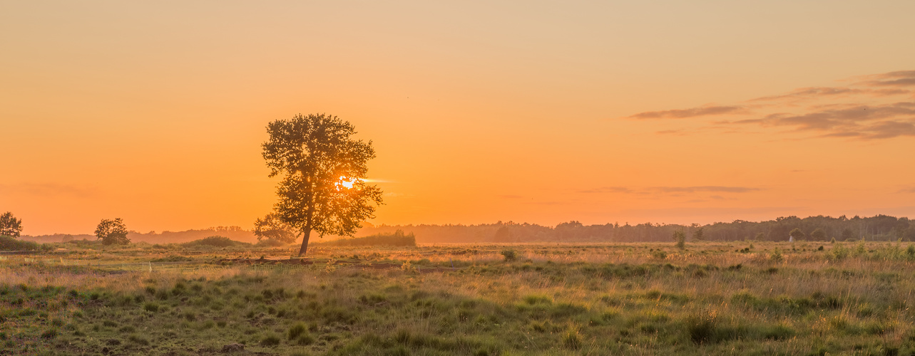 Sonnenuntergang im Hiller Moor