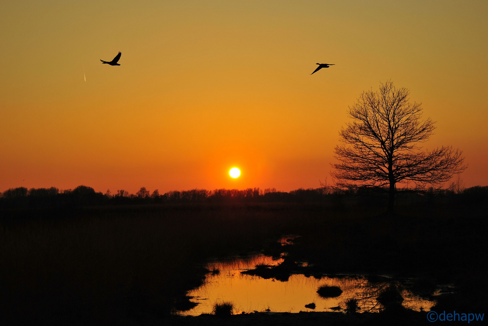 Sonnenuntergang im Hiller Moor