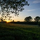 Sonnenuntergang im Hiller Moor