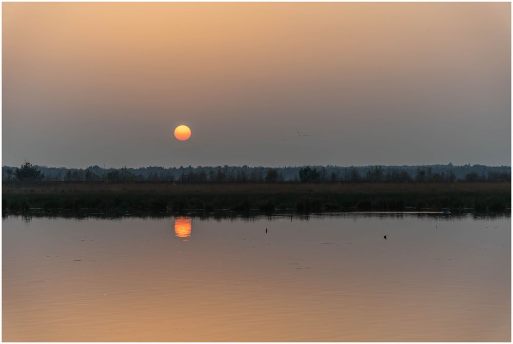 Sonnenuntergang im Himmelmoor