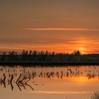 Sonnenuntergang im Himmelmoor