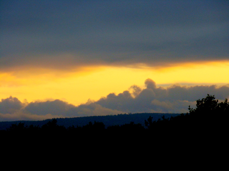 Sonnenuntergang im Hochwald