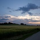 Sonnenuntergang im Hörner Bruch, Osnabrück.