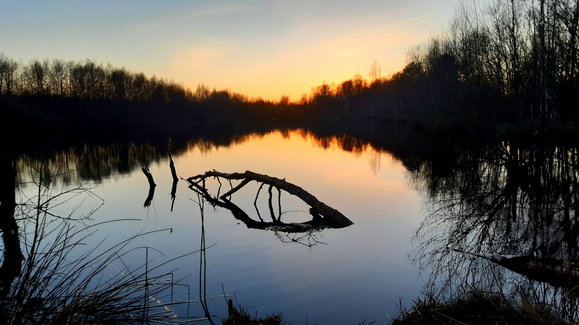 Sonnenuntergang im Hohen Moor ...