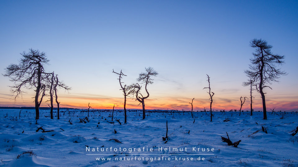 Sonnenuntergang im Hohen Venn