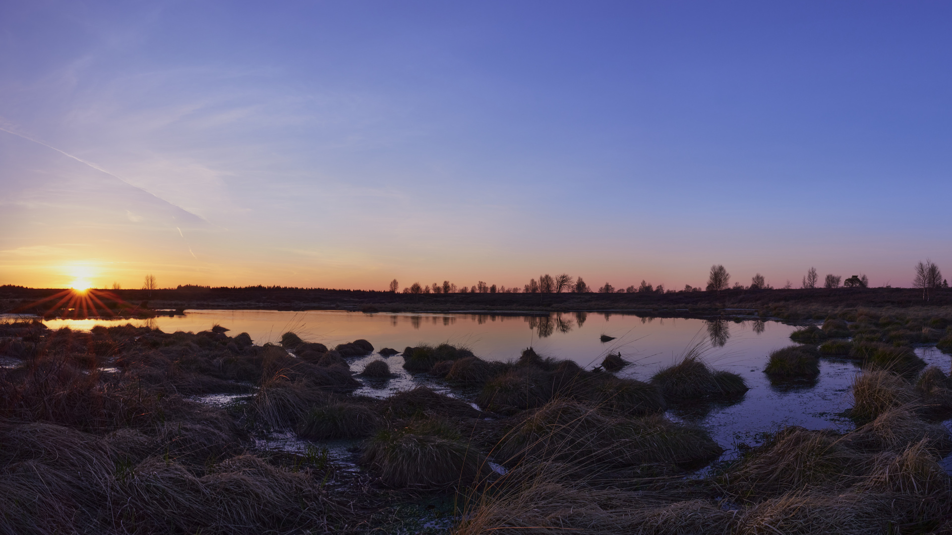 Sonnenuntergang im Hohen Venn