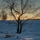 Sonnenuntergang im Hohen Venn