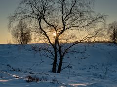 Sonnenuntergang im Hohen Venn