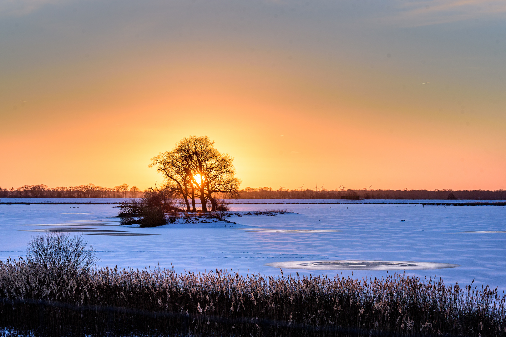 Sonnenuntergang im Holter Hammrich 