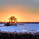 Sonnenuntergang im Holter Hammrich 