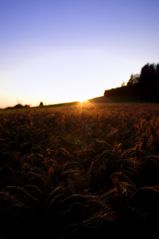 Sonnenuntergang im Hotzenwald