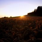 Sonnenuntergang im Hotzenwald