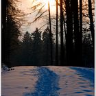 Sonnenuntergang im Hunsrück