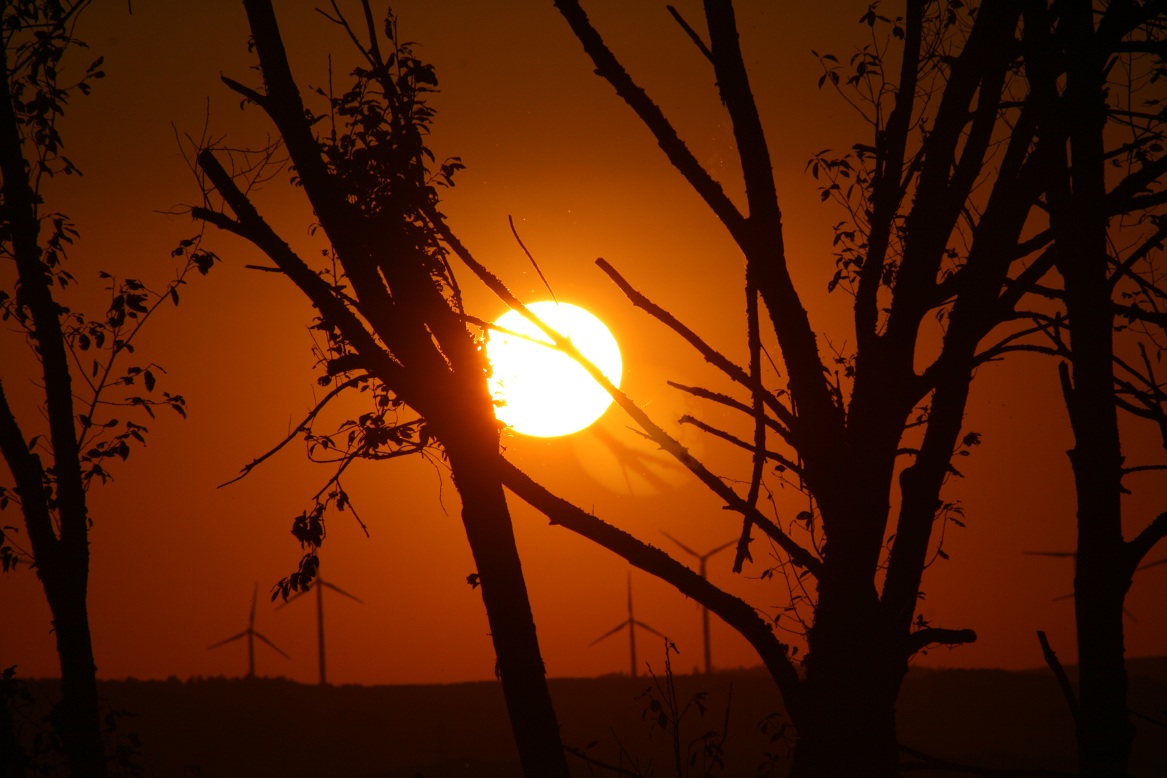 Sonnenuntergang im Hunsrück