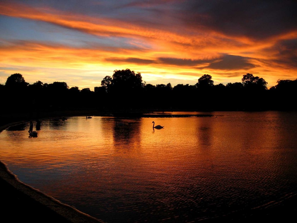 Sonnenuntergang im Hydepark