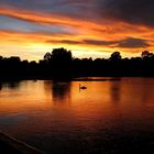 Sonnenuntergang im Hydepark