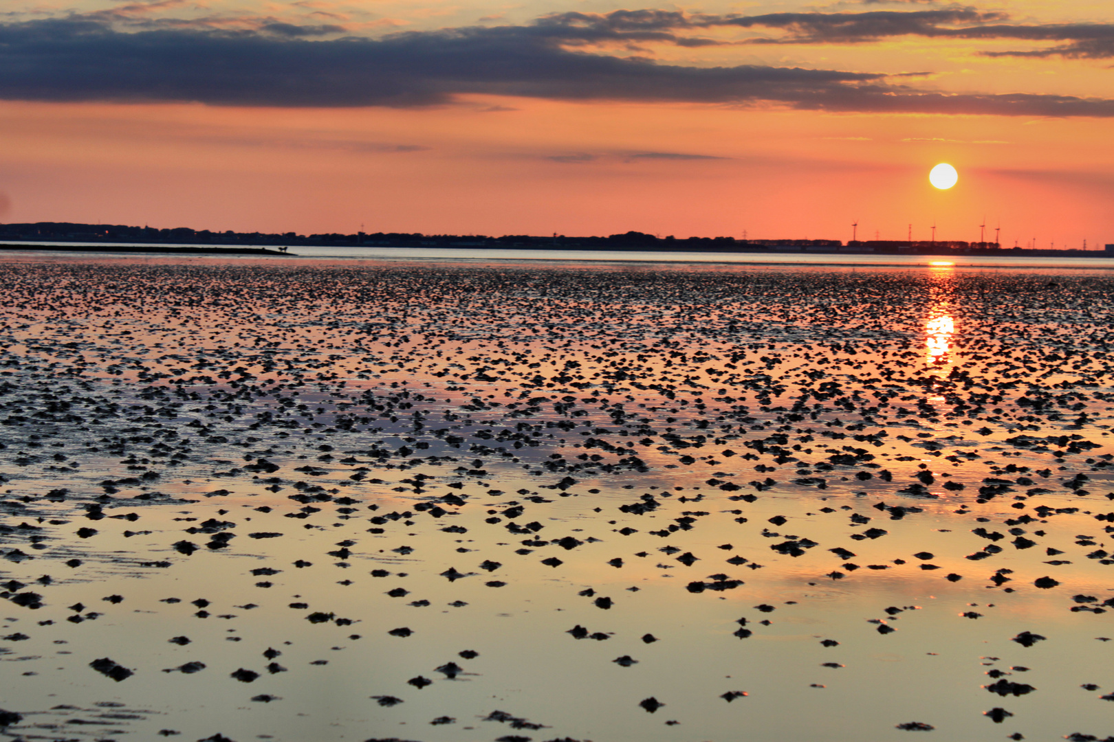 Sonnenuntergang im Jadebusen-Nordseeküste