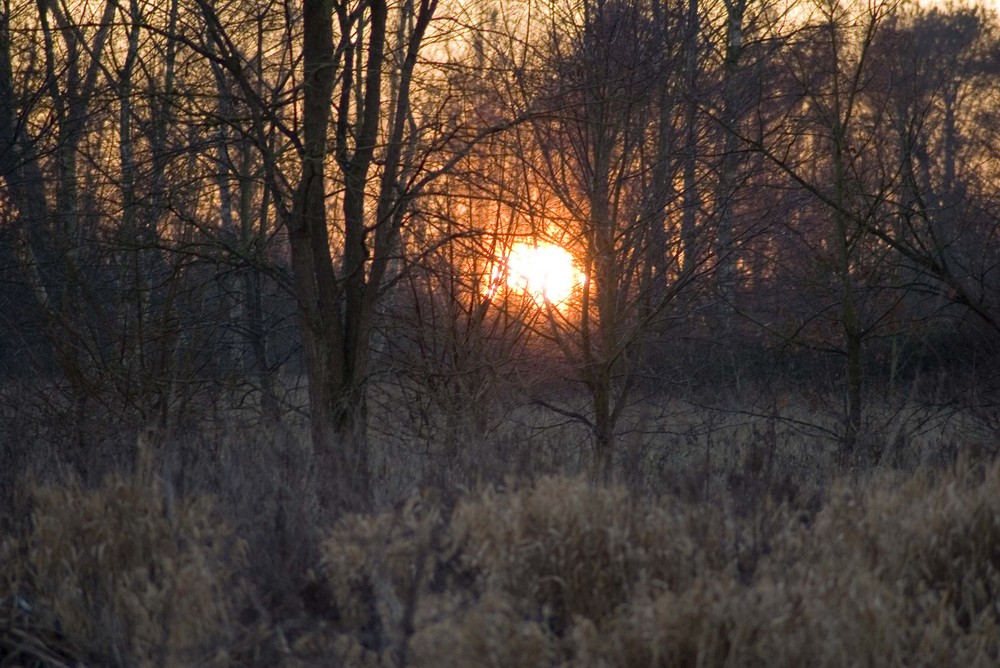 Sonnenuntergang im Januar 2009