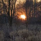 Sonnenuntergang im Januar 2009