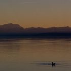 Sonnenuntergang im Januar