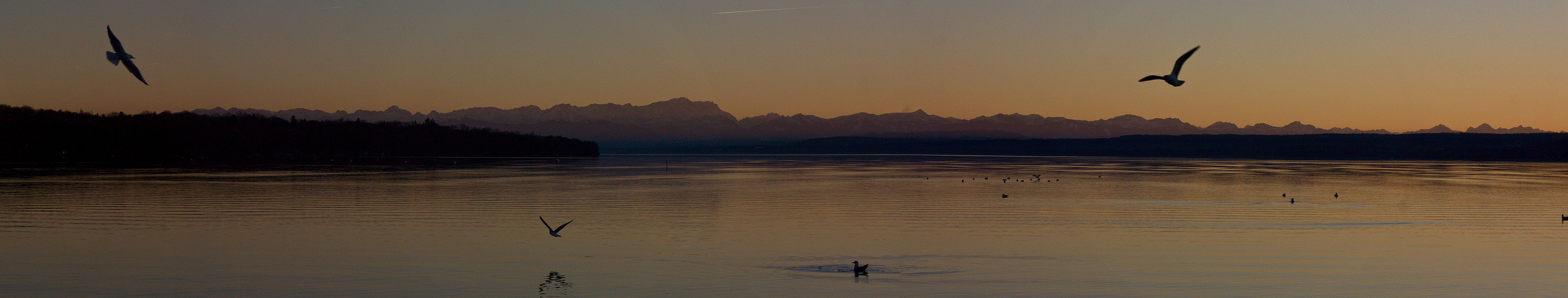 Sonnenuntergang im Januar