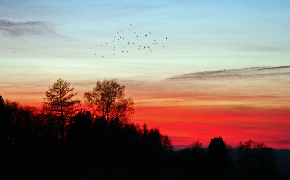 Sonnenuntergang im Januar...