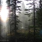 Sonnenuntergang im Jasper Nationalpark