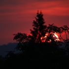 Sonnenuntergang im Juli