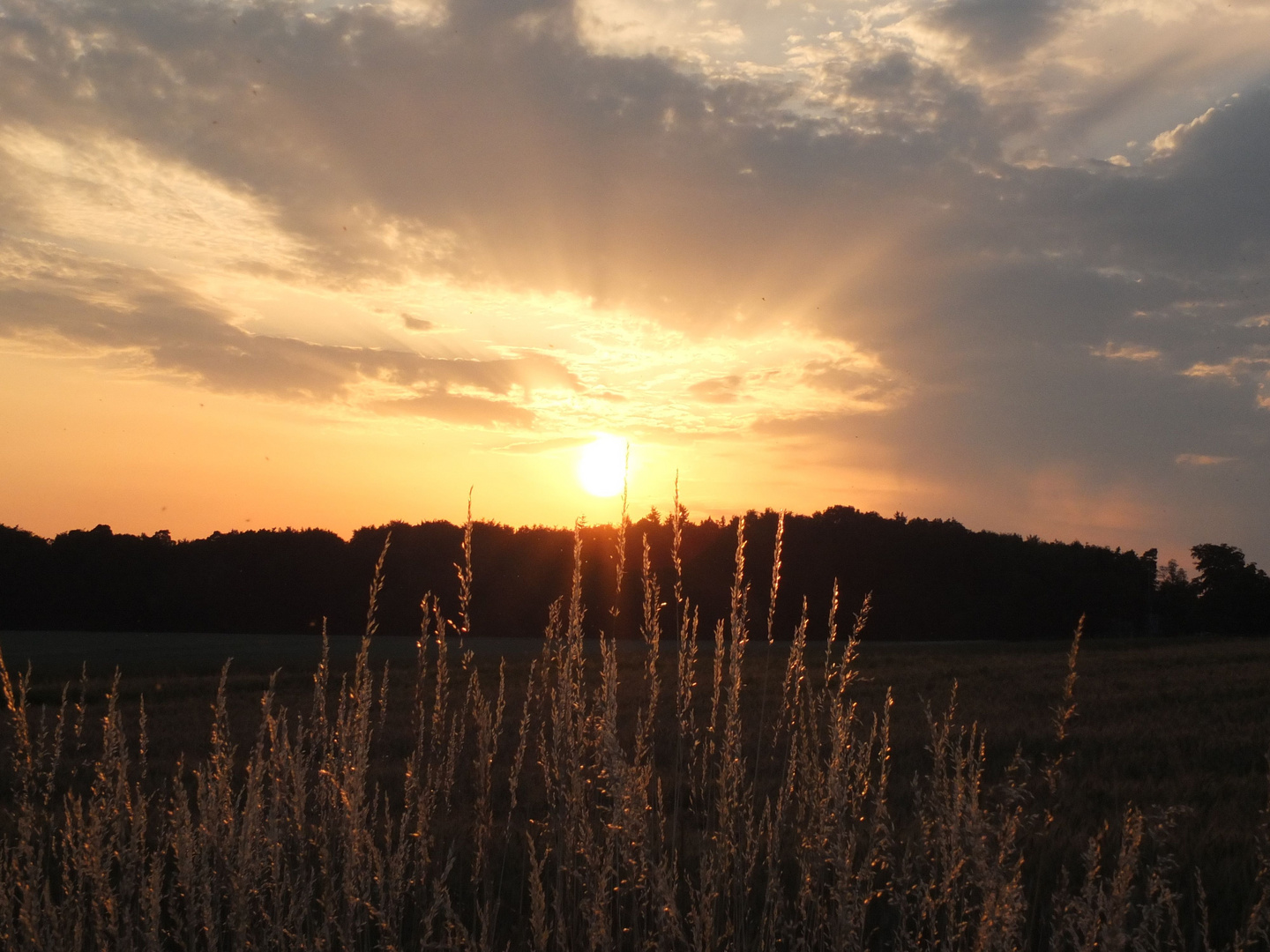 Sonnenuntergang im Juli