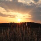 Sonnenuntergang im Juli