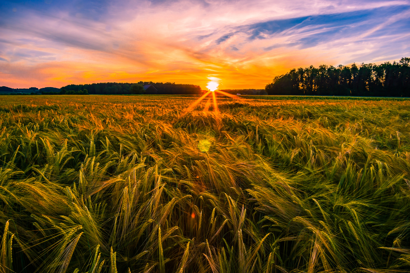 Sonnenuntergang im Juni